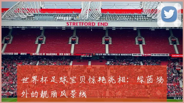 世界杯足球宝贝惊艳亮相：绿茵场外的靓丽风景线