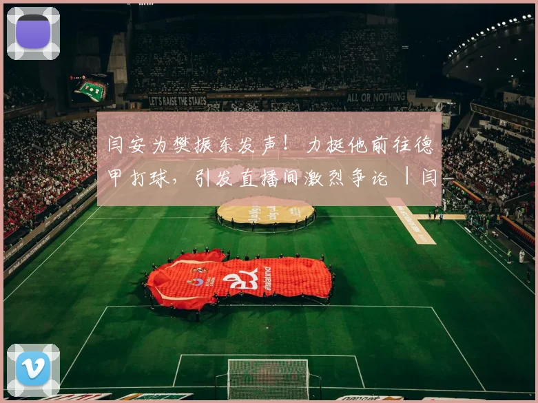 闫安为樊振东发声！力挺他前往德甲打球，引发直播间激烈争论 ｜闫安